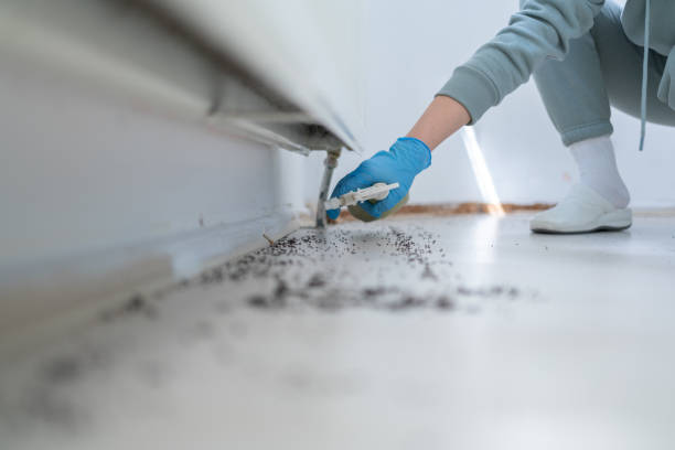 Pest Control Cost in Marienville, PA